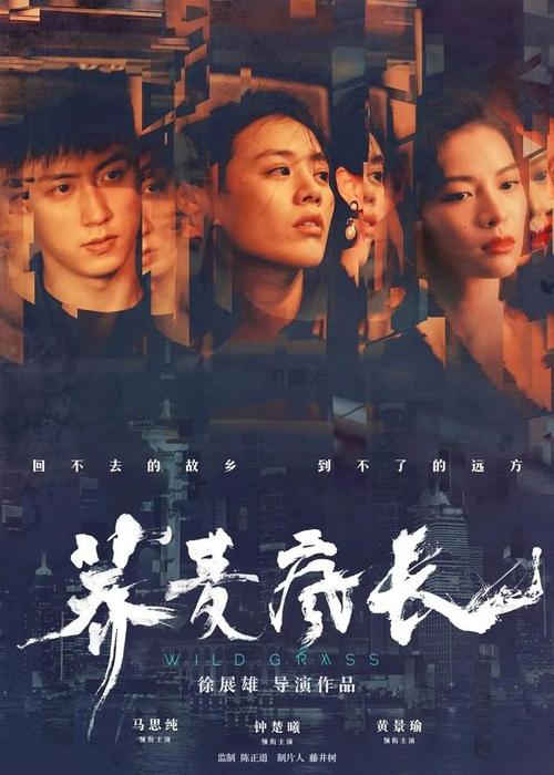 高仿米德兰大学文凭